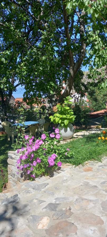 Roleo Guest House Lini Exteriér fotografie