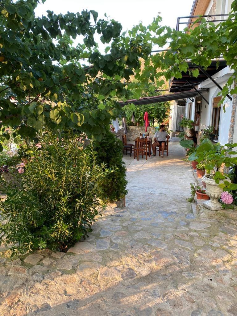 Roleo Guest House Lini Exteriér fotografie