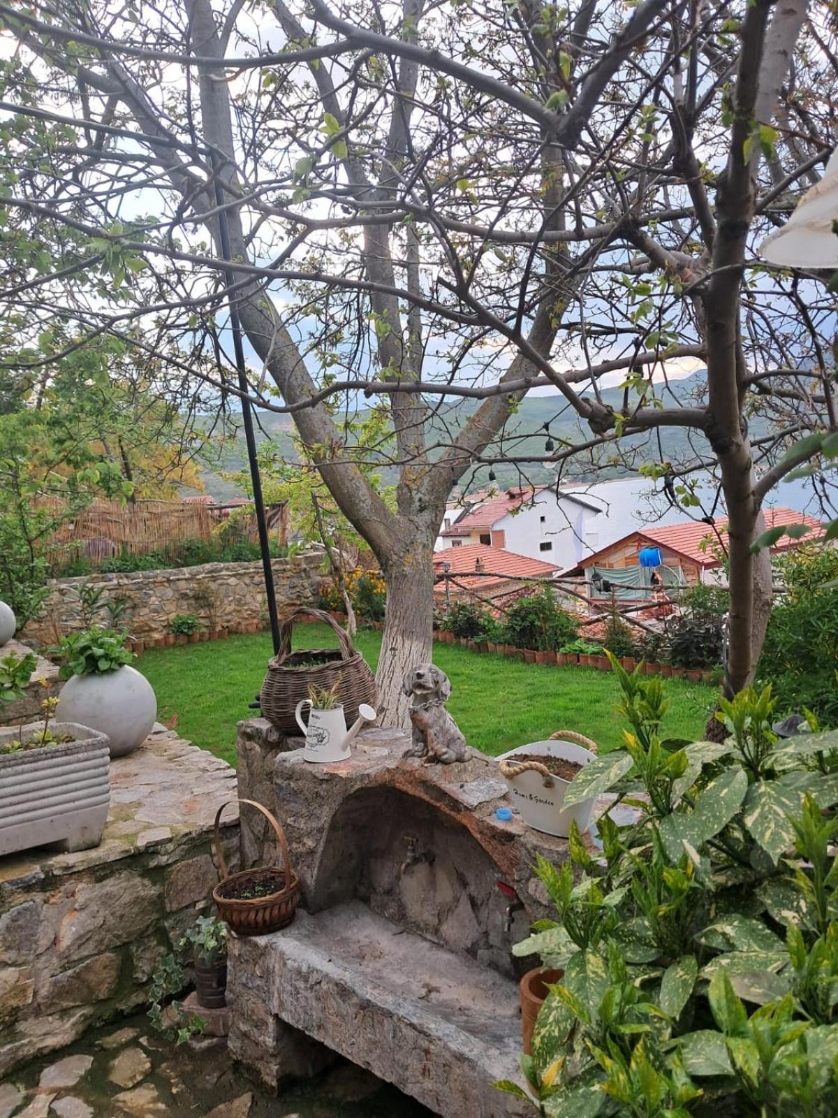 Roleo Guest House Lini Exteriér fotografie